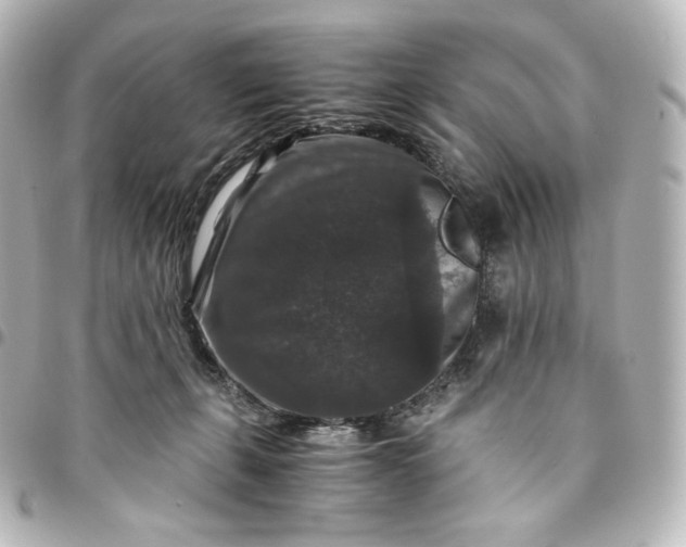 X0000095540271200712281551