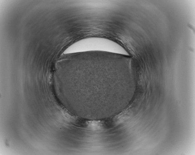 X0000095540273200712281551