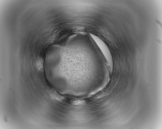 X0000095540274200712281551