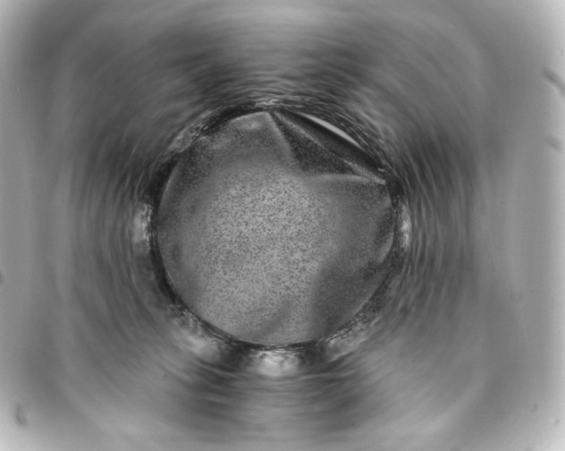 X0000095540275200712281551