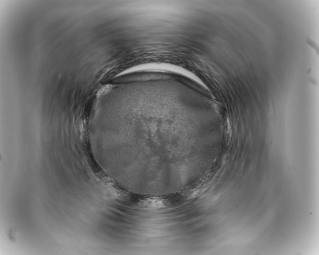 X0000095540276200712281551