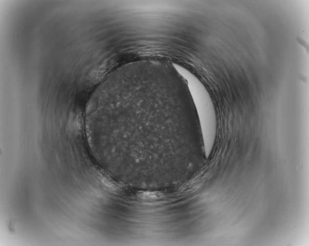 X0000095540277200712281551