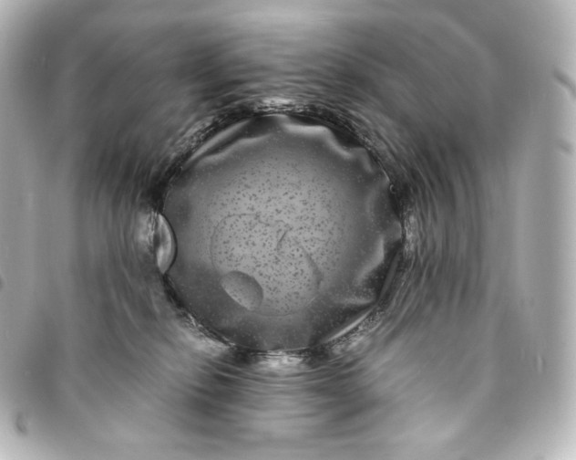 X0000095540278200712281551