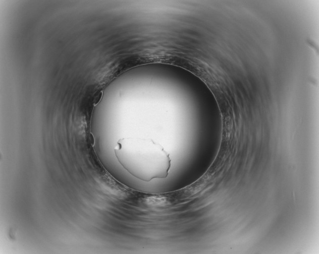 X0000095540279200712281551