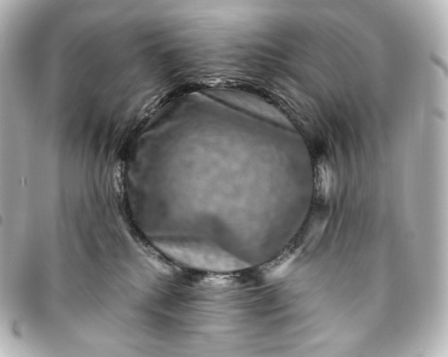 X0000095540280200712281551