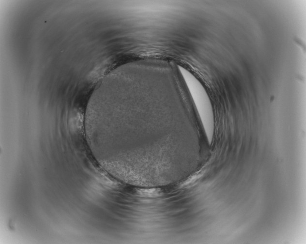 X0000095540281200712281551