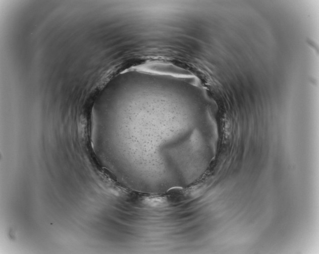 X0000095540283200712281551