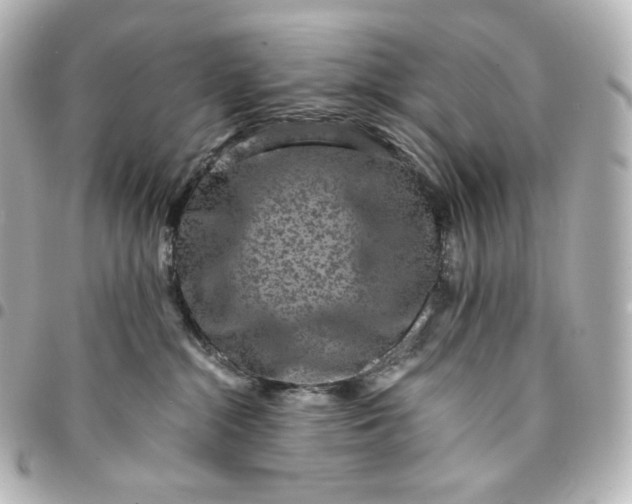 X0000095540284200712281551