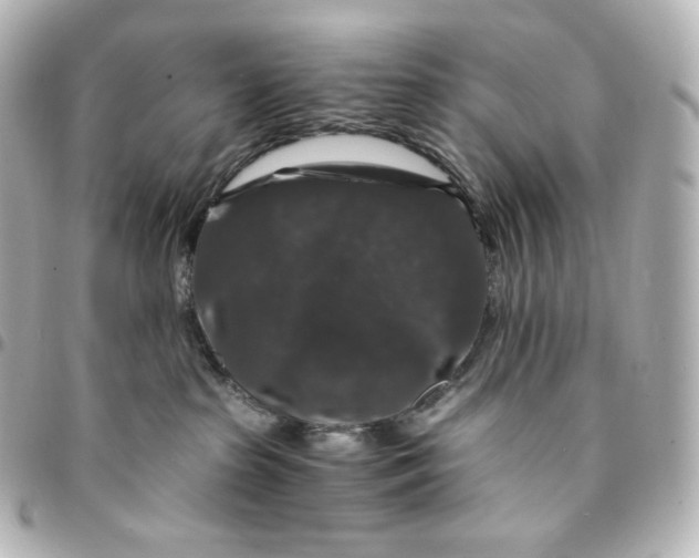 X0000095540285200712281551