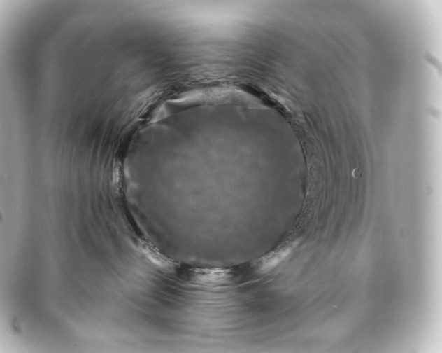 X0000095540288200712281551