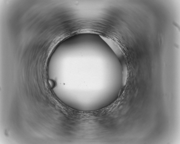 X0000095540289200712281550