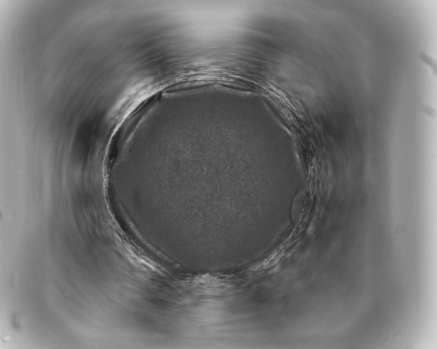 X0000095540290200712281550