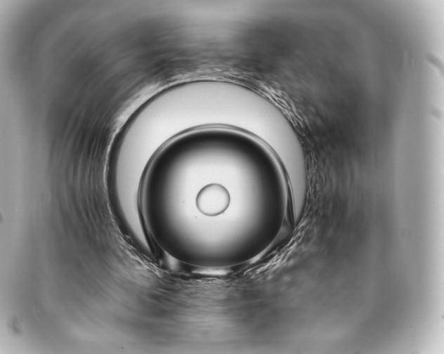 X0000095540292200712281550