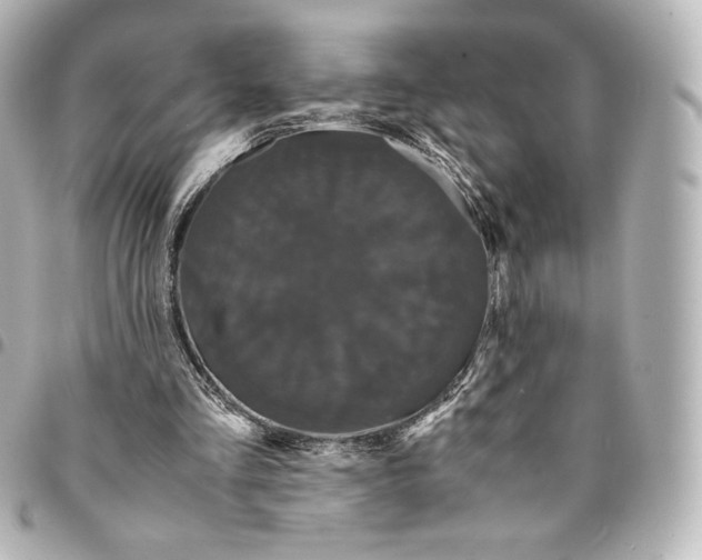 X0000095540293200712281550