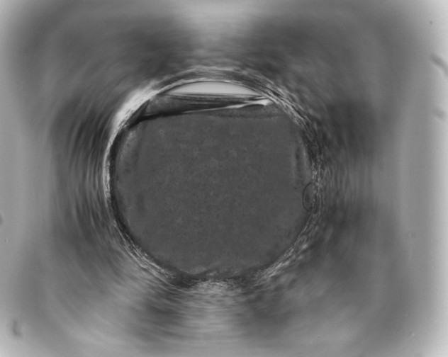 X0000095540294200712281550