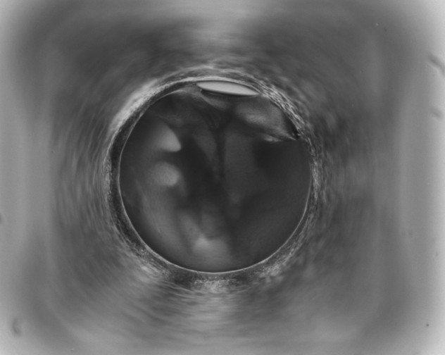 X0000095540295200712281550