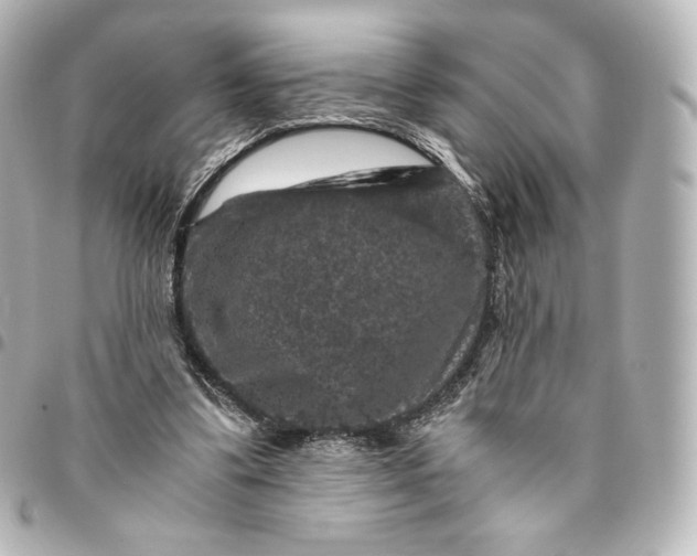 X0000095540299200712281550