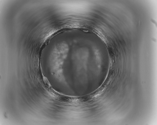 X0000095540301200712281550