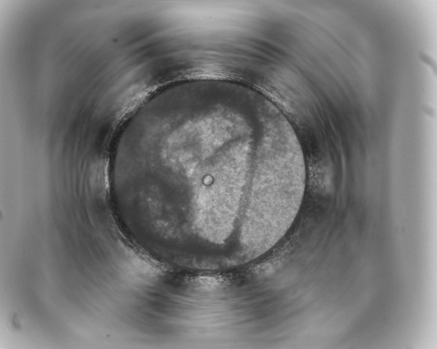 X0000095540302200712281550