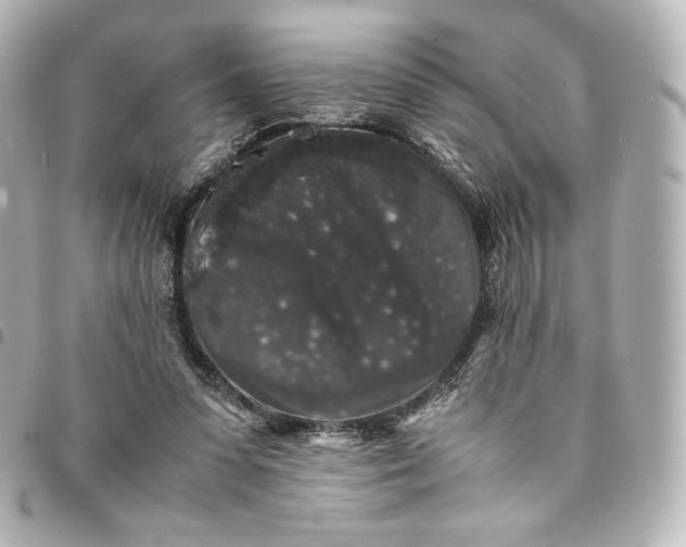 X0000095540303200712281550