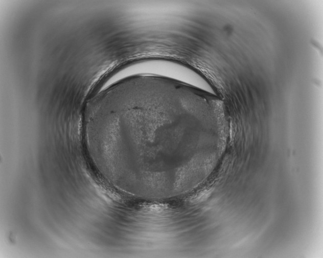 X0000095540304200712281550