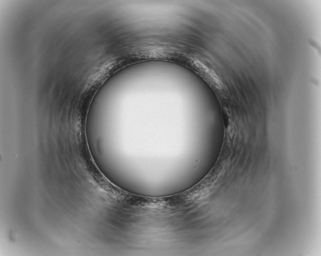 X0000095540306200712281550