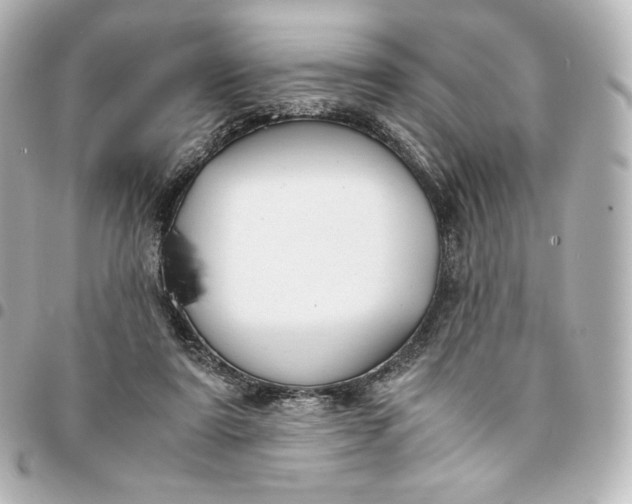 X0000095540307200712281550