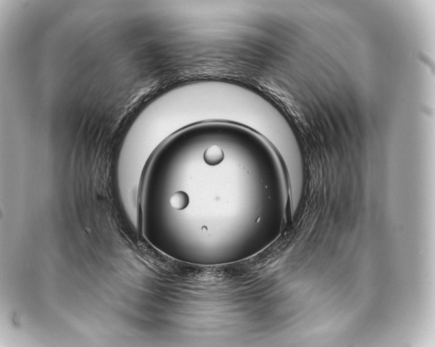 X0000095540308200712281550