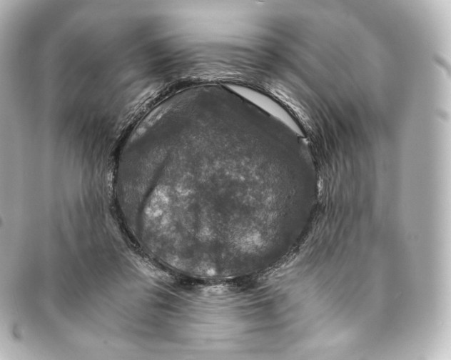 X0000095540309200712281550