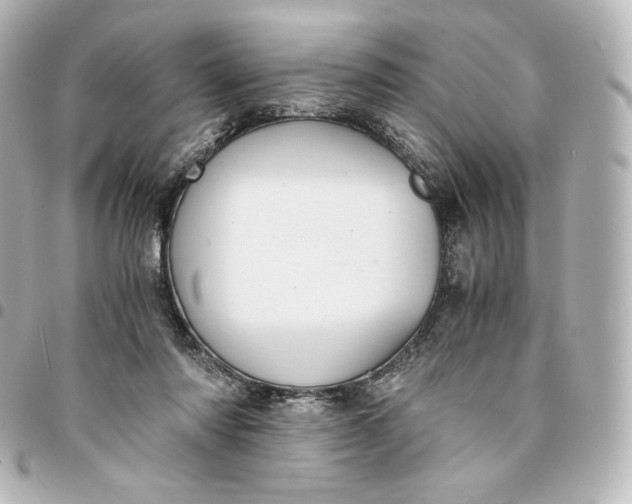 X0000095540310200712281550