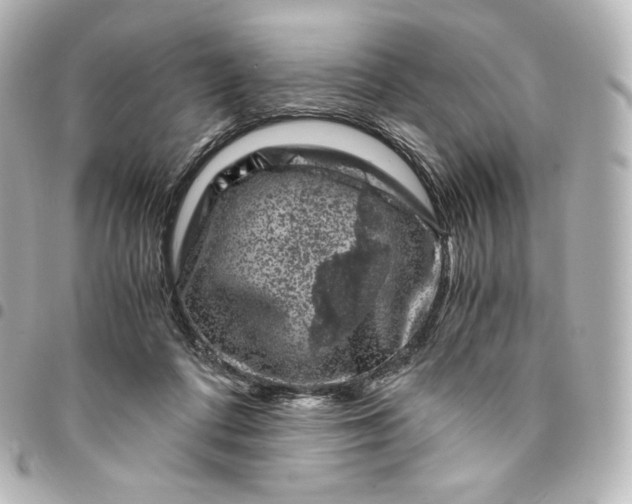 X0000095540312200712281550