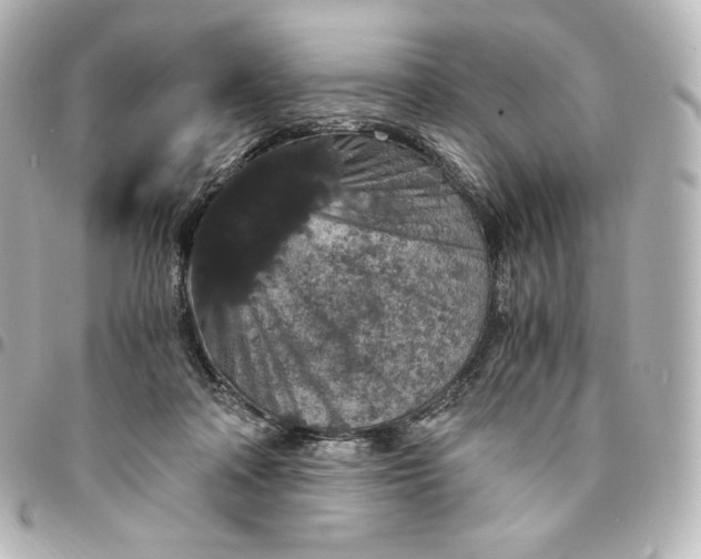 X0000095540314200712281550