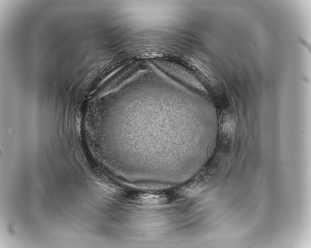 X0000095540315200712281550