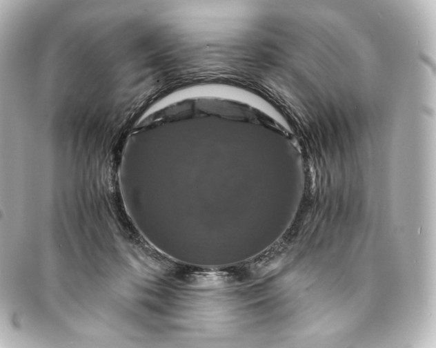 X0000095540316200712281550