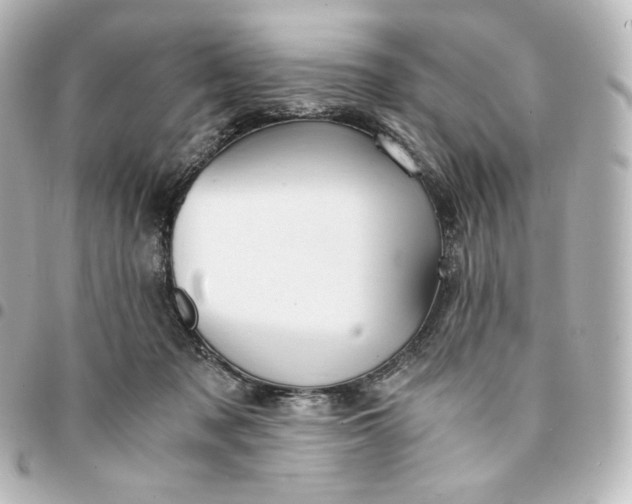 X0000095540317200712281550