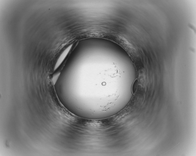 X0000095540318200712281550