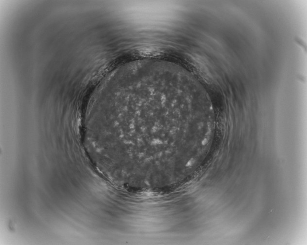 X0000095540319200712281550