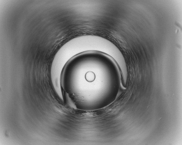 X0000095540320200712281550