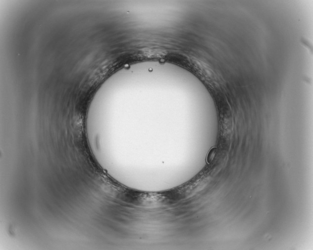 X0000095540321200712281550