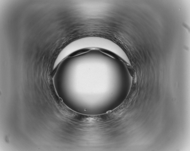 X0000095540323200712281550