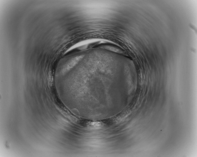 X0000095540324200712281550