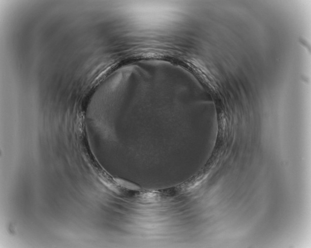 X0000095540325200712281550