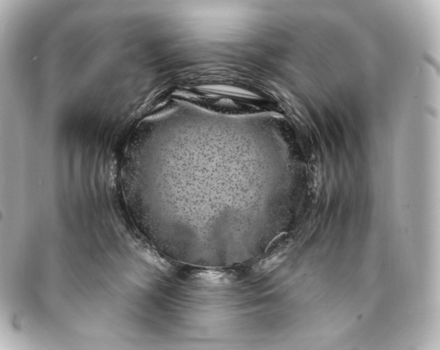 X0000095540326200712281550