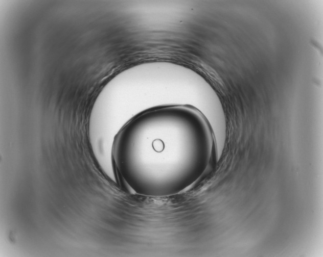 X0000095540329200712281550