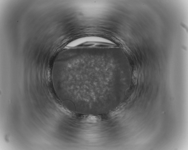 X0000095540330200712281550