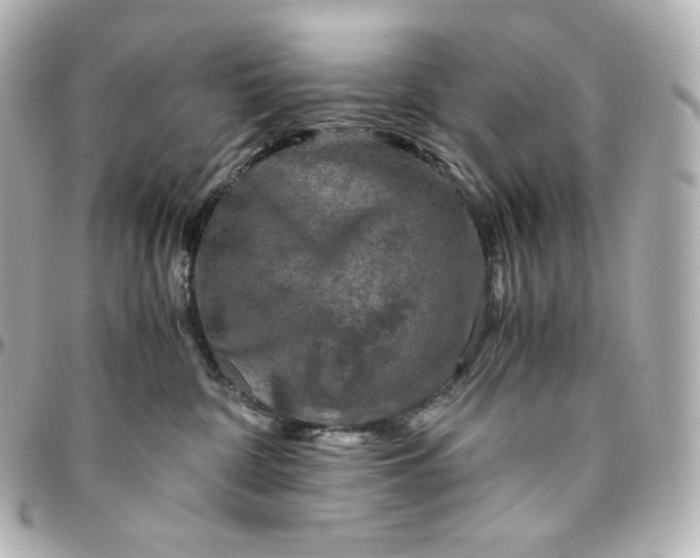 X0000095540332200712281550