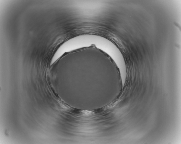 X0000095540333200712281550