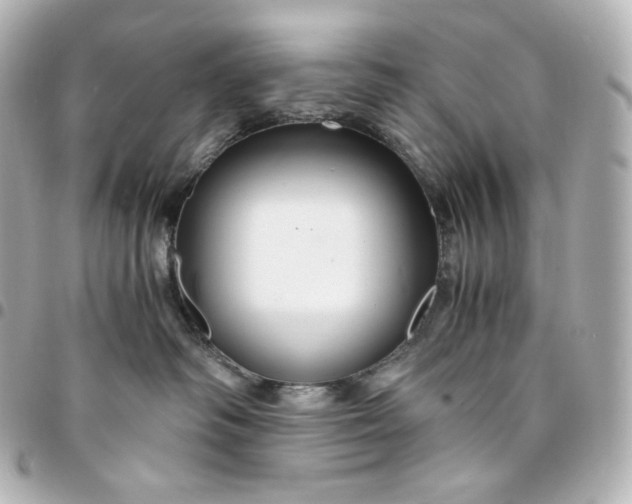 X0000095540334200712281550