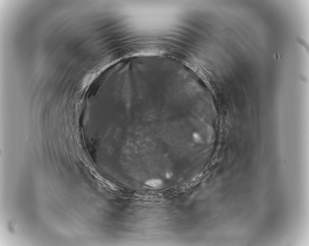 X0000095540337200712281549