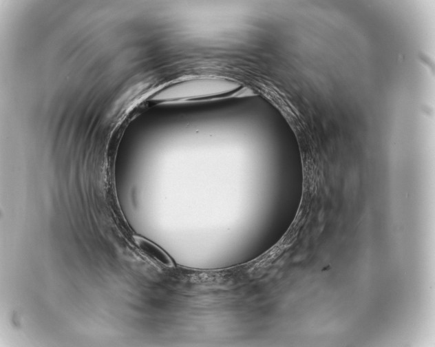 X0000095540338200712281549